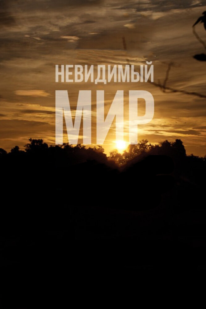 Невидимый мир (2012) постер