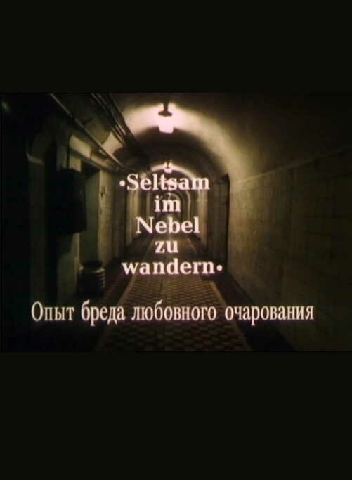 Опыт бреда любовного очарования (1991) постер