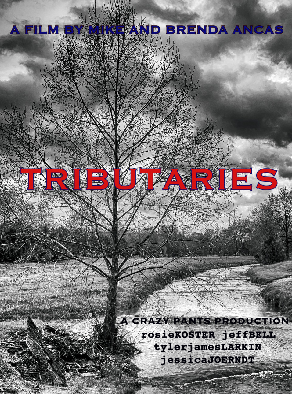 Tributaries (2021) постер