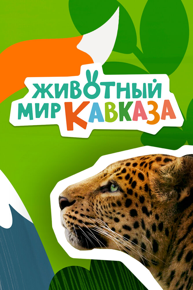 Животный мир Кавказа (2022) постер
